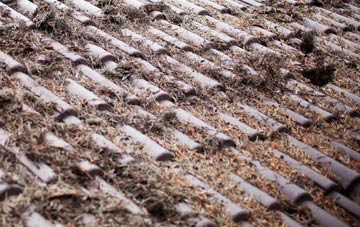 Stonganess roof cleaning companies